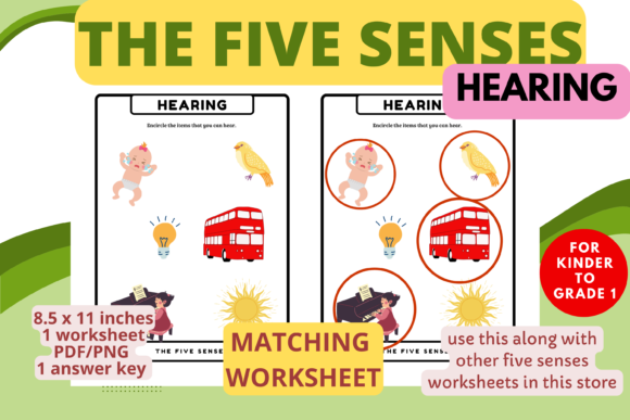 Download Sense of Hearing Matching Worksheet(K-1) - Match Collection